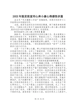 20XX年脱贫致富同心奔小康心得感悟多篇