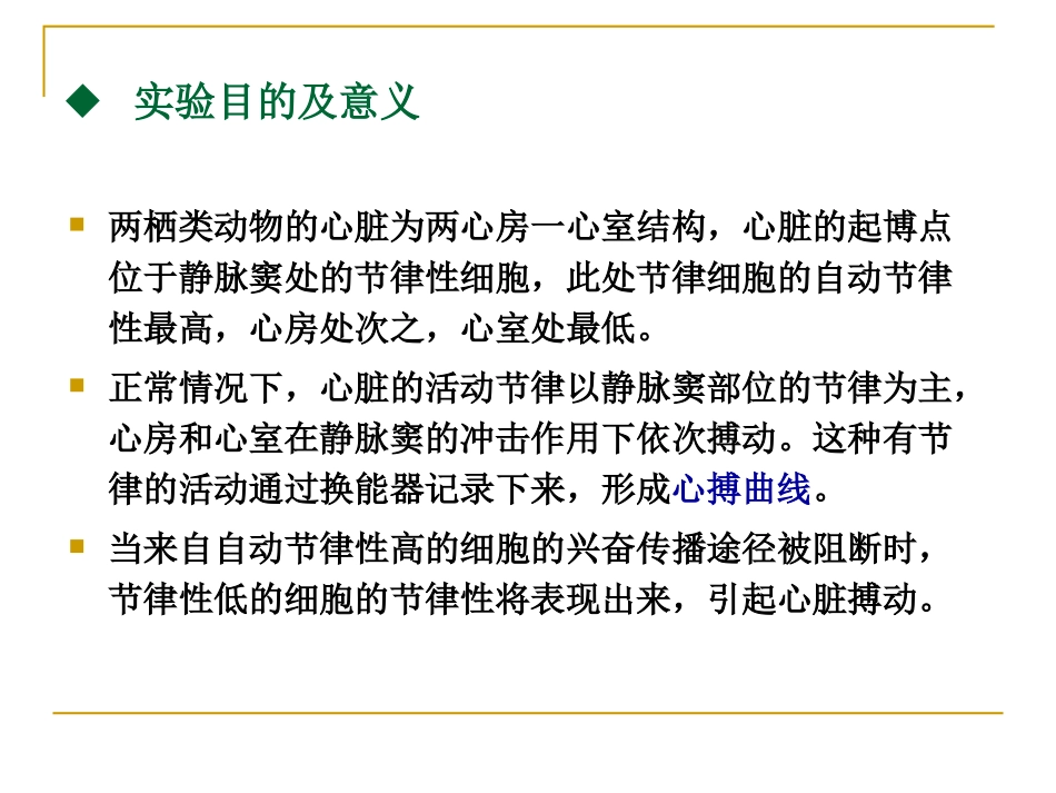 课件3心搏_295808264_第2页