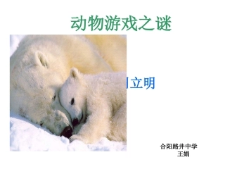 动物游戏之迷娟