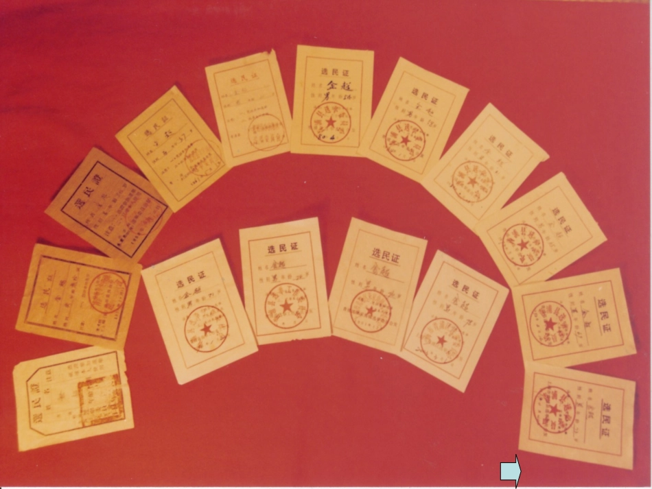 九年级政治《第11课神圣的一票》课件_第1页