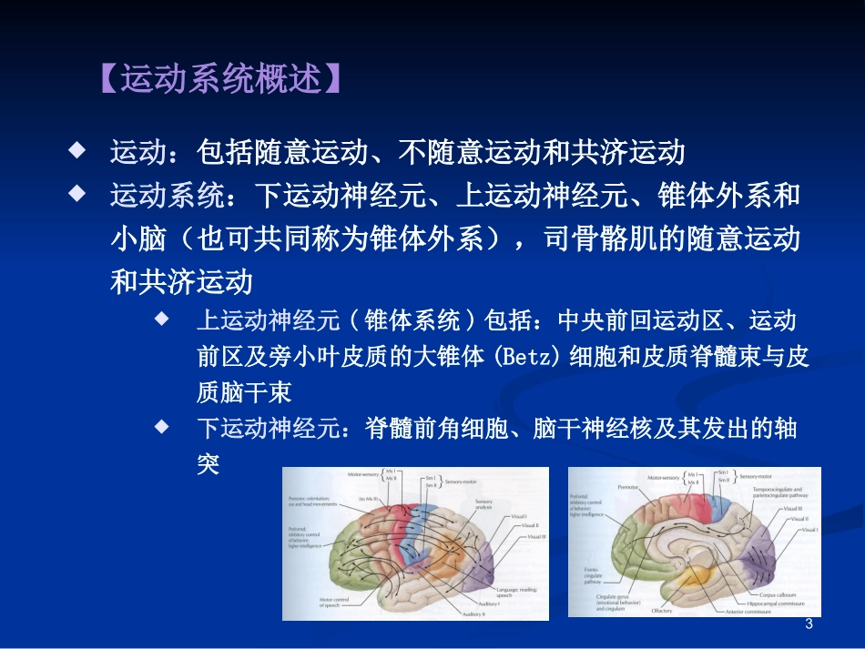 CNS定位2_第3页