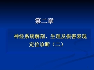 CNS定位2