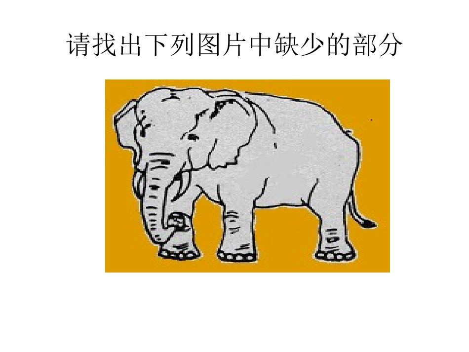 儿童观察力的训练_第3页