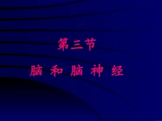 生理课件 脑、脑神经