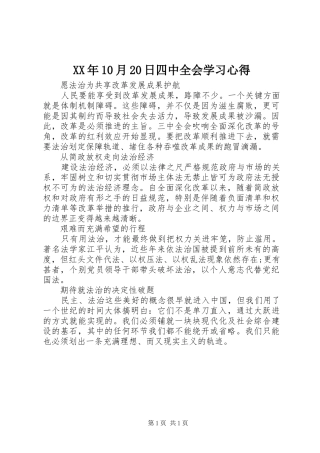 XX年10月20日四中全会学习心得
