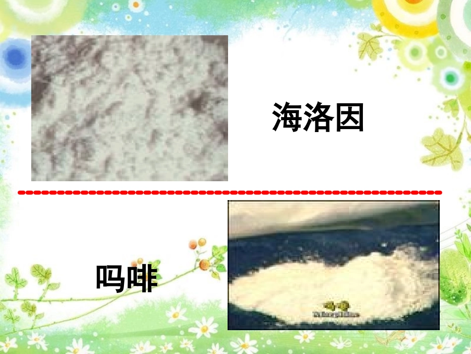 珍爱生命远离毒ppt_第3页