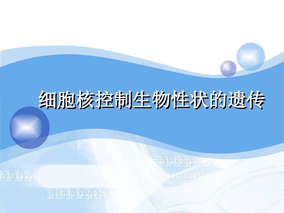 细胞核---鸡_第1页