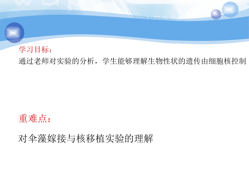 细胞核---鸡_第2页