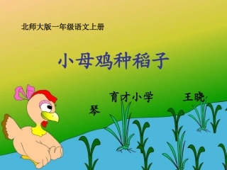 小母鸡种稻子
