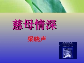 慈母情深PPT课件