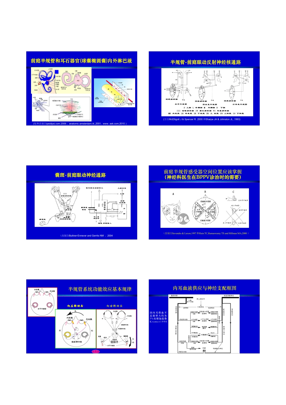眩晕院内讲课_第3页