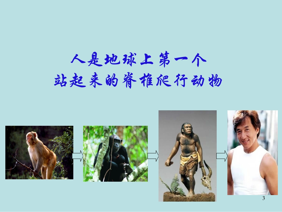 颈腰痛的防治知识_第3页