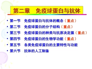 免疫球蛋白与抗体