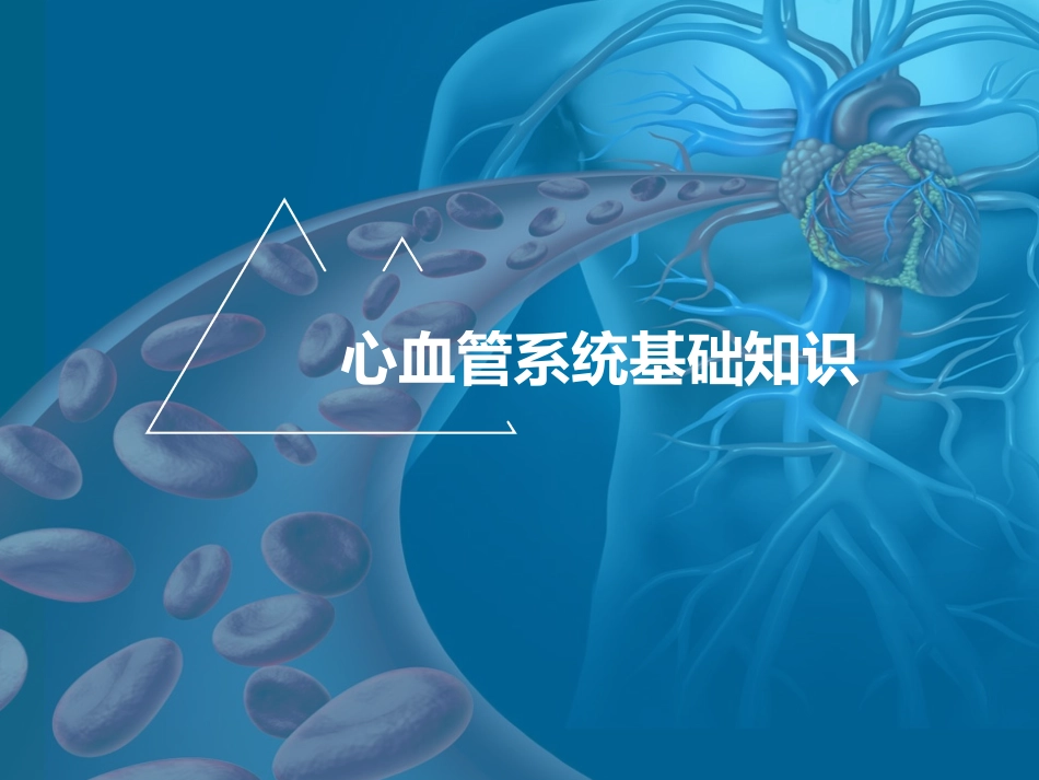 心血管系统基础知识_第1页