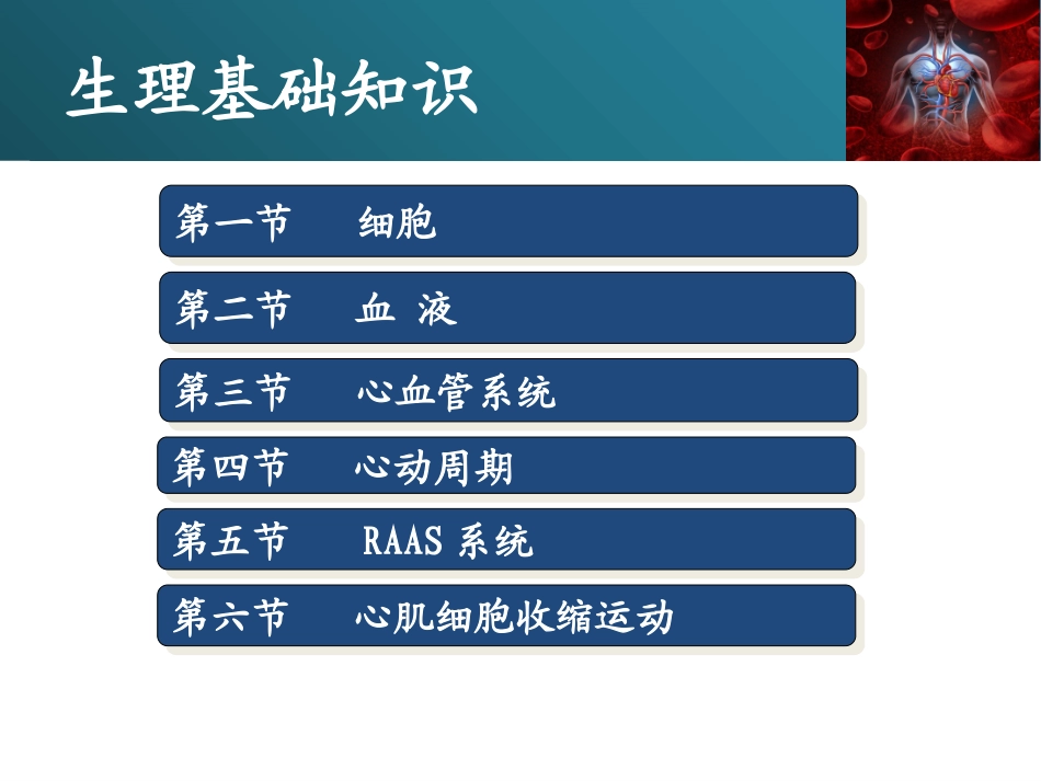 心血管系统基础知识_第3页