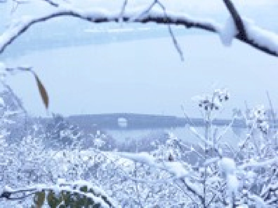 《湖心亭看雪》课件_第3页