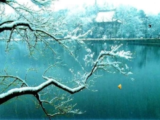 《湖心亭看雪》课件