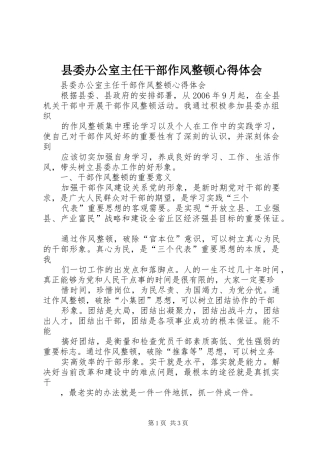 县委办公室主任干部作风整顿心得体会