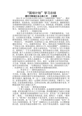 王素群国培总结