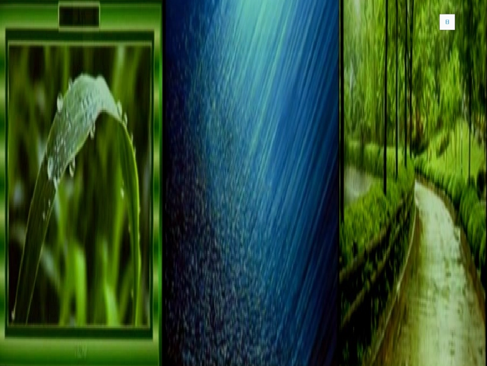 秋天的雨课件_第2页