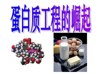 蛋白质工程的崛起超好转
