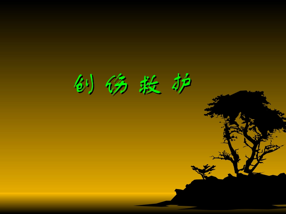 创伤救护2010.5_第1页