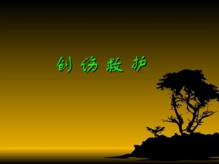 创伤救护2010.5