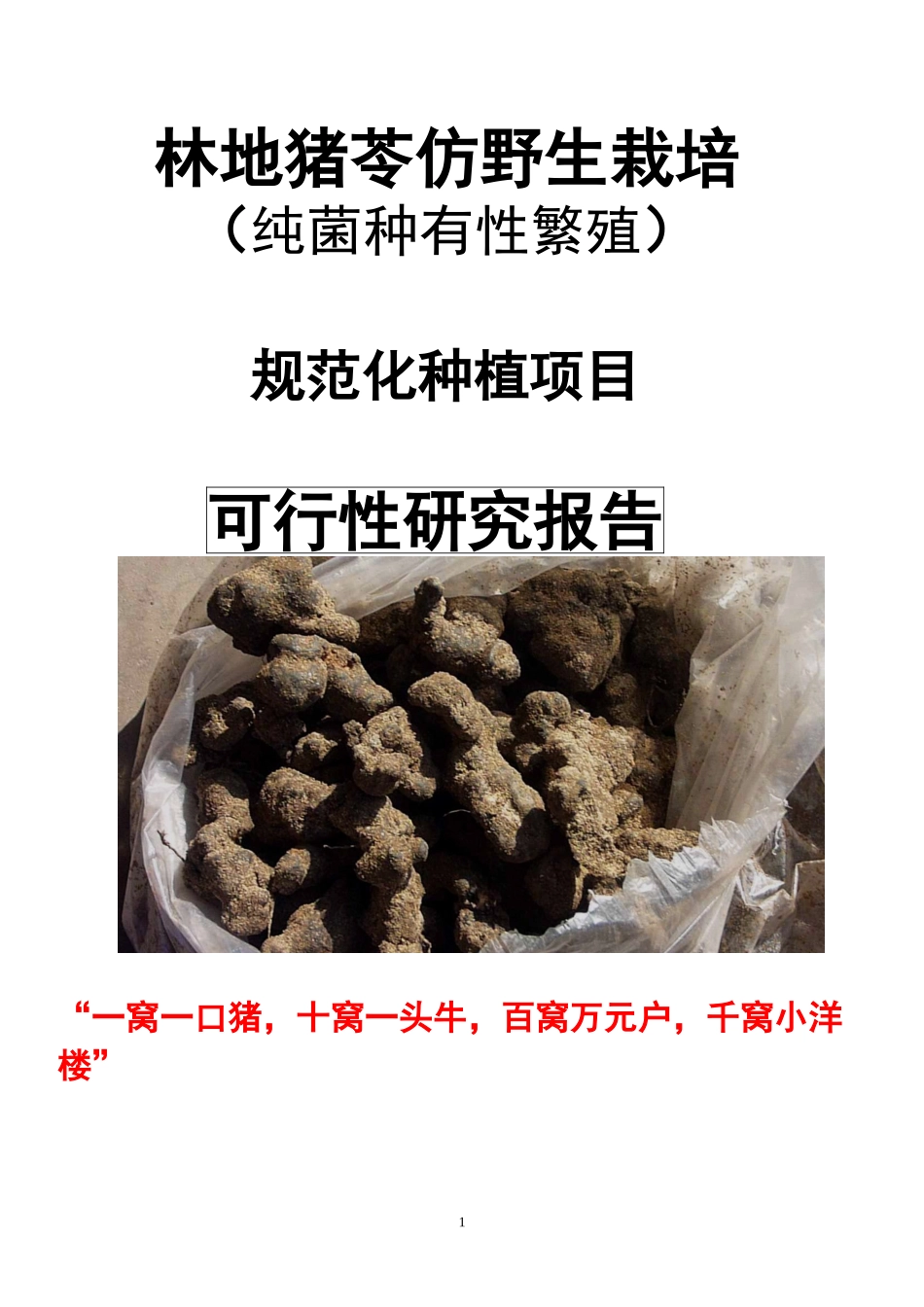 林地猪苓仿野生规范化种植项目(1)_第1页