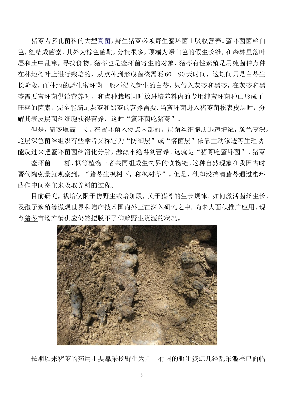 林地猪苓仿野生规范化种植项目(1)_第3页