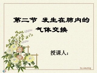发生在肺内的气体交换ppt