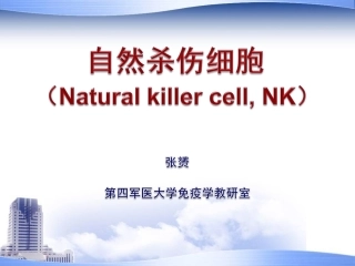 NK细胞(2010上)