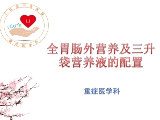 全胃肠外营养与3L袋配置