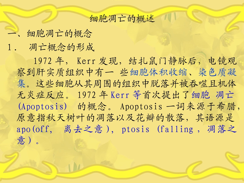 细胞凋亡及其相关进展.ppt-2011-4--28_第3页