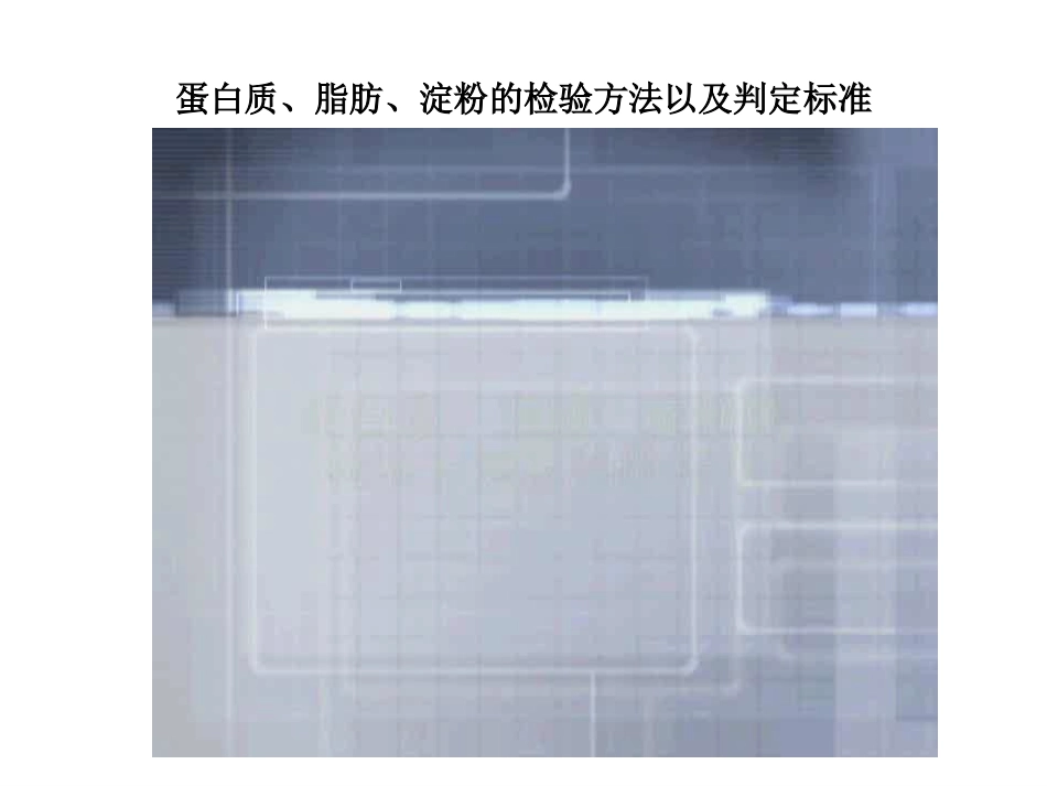 《食物中的营养》课件_第3页