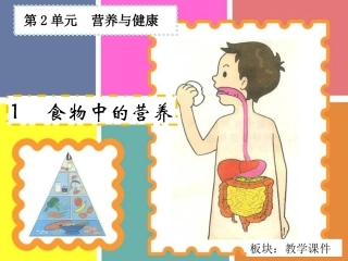 《食物中的营养》课件