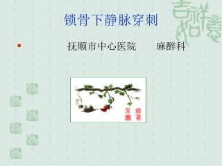 新建-锁骨下静脉穿刺