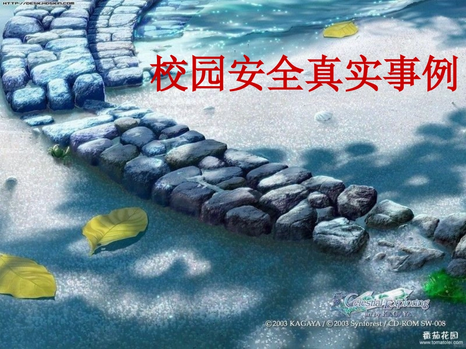 校园安全教育_知识宣讲PPT_第2页