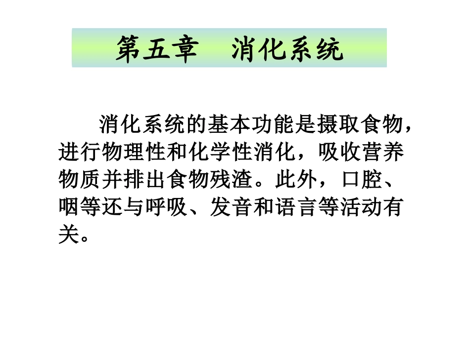 第五章消化系统_第1页