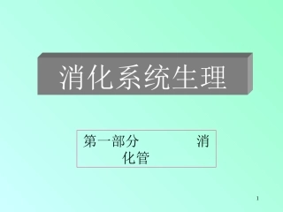 消化系统生理