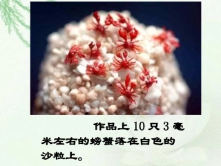 《核舟记》优秀教案(修改正式版)
