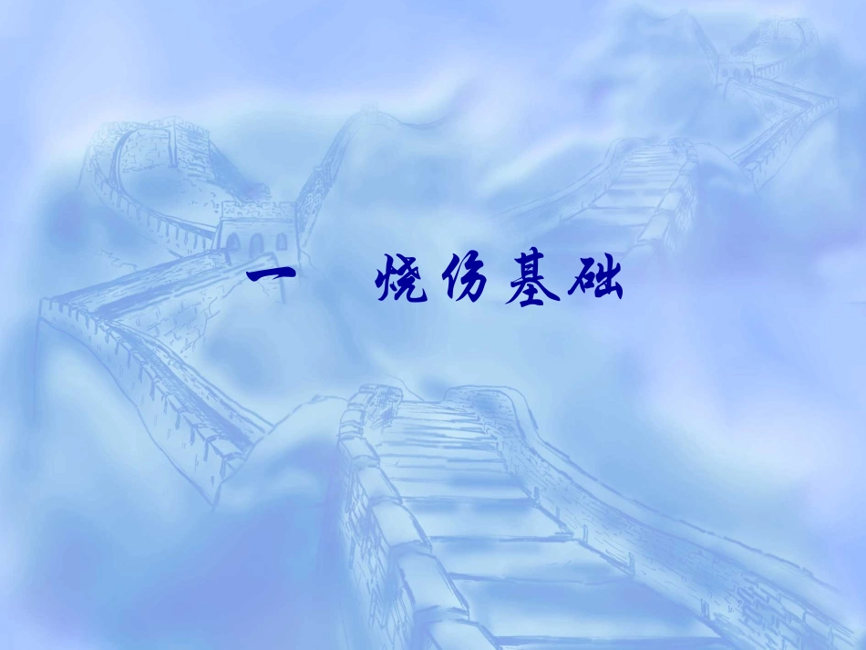 烧伤急救与创面处理_第3页