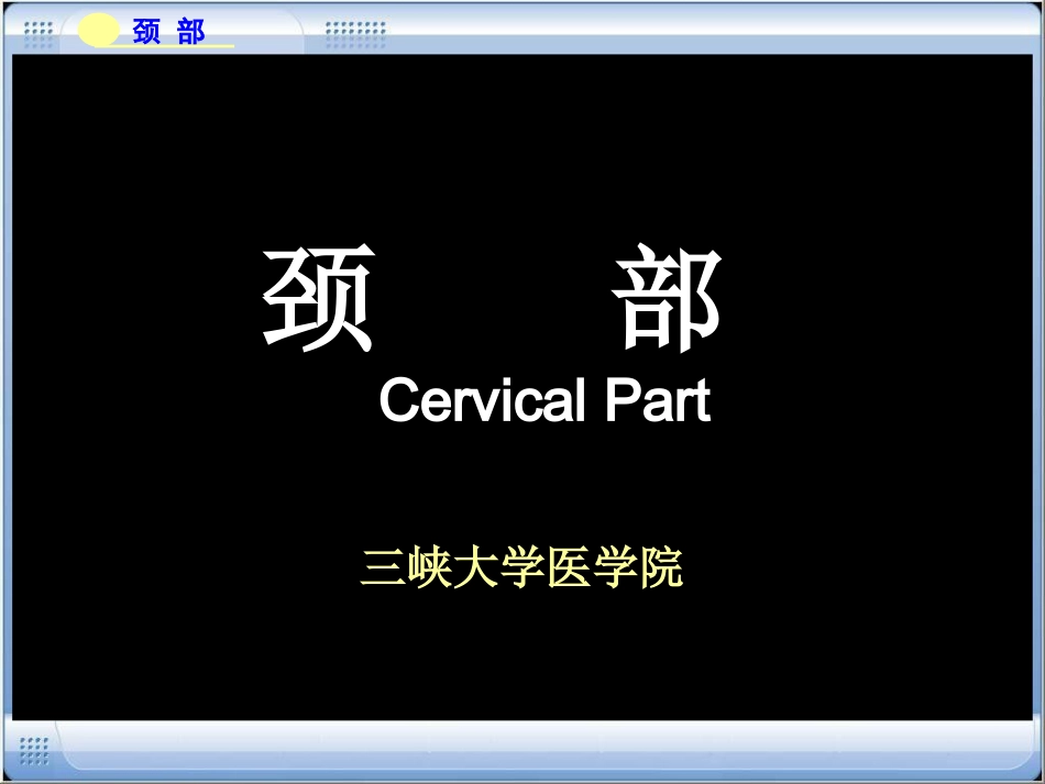 颈部(三峡大学医学院)_第1页