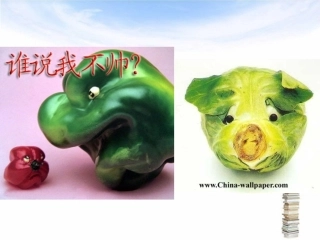 情绪和情感概述(PPT-82张)