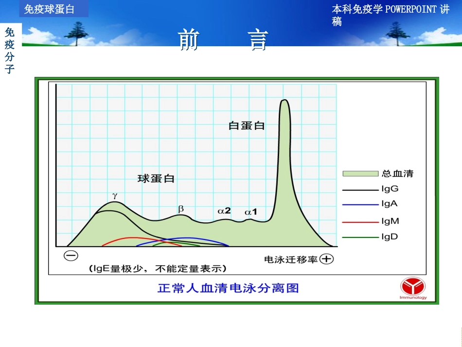 第四章  免疫球蛋白_第2页