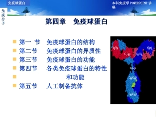 第四章  免疫球蛋白