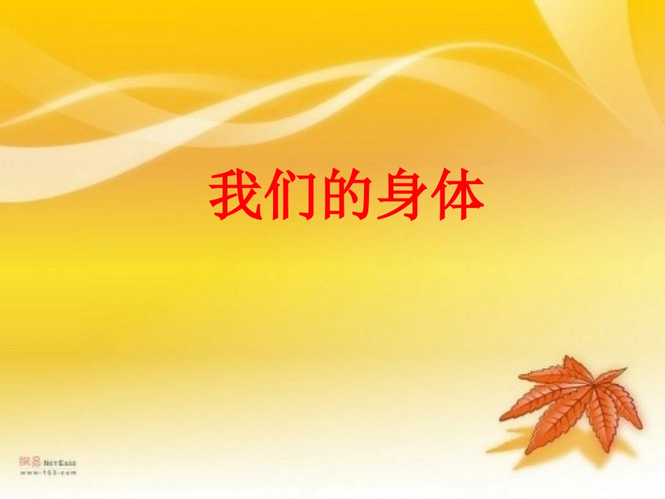 我们的身体(青岛版)三年级科学下册PPT课件_第1页