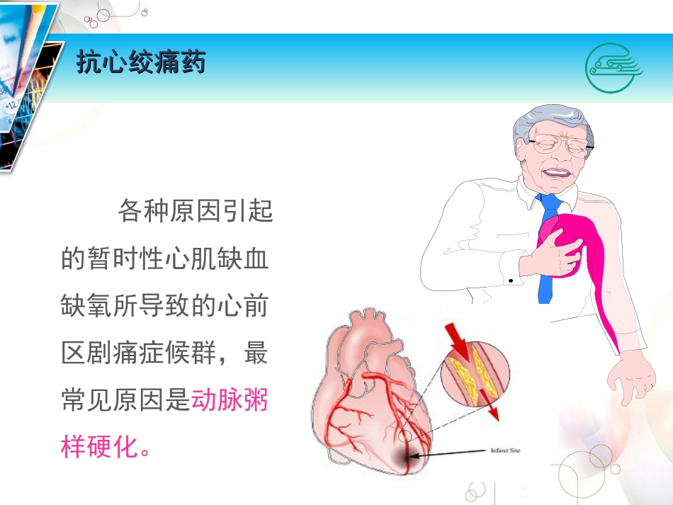 抗心绞痛药及抗动脉粥样硬化药_第2页