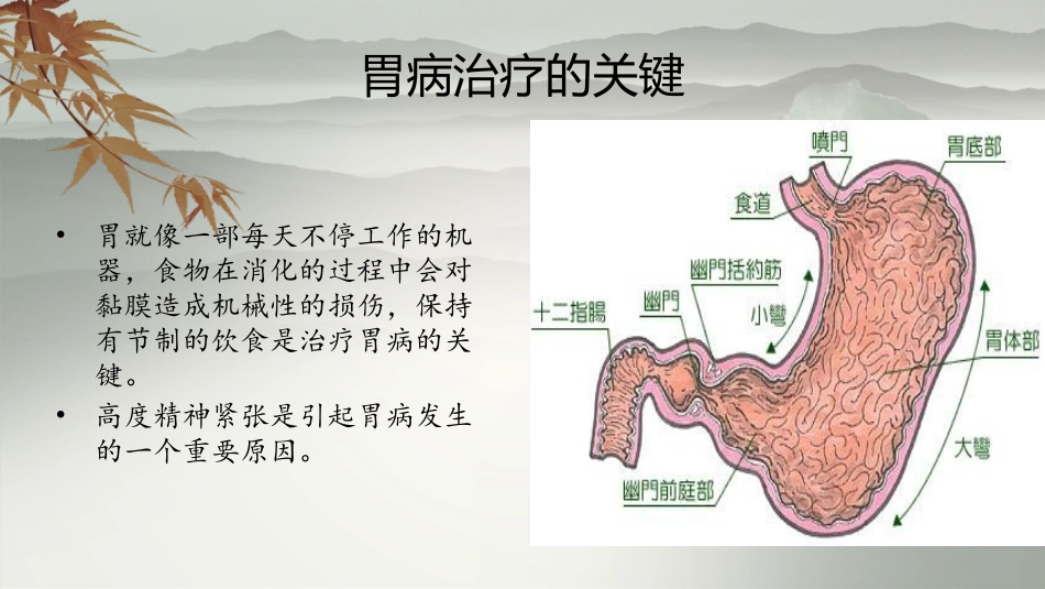 如何养胃护胃_第2页
