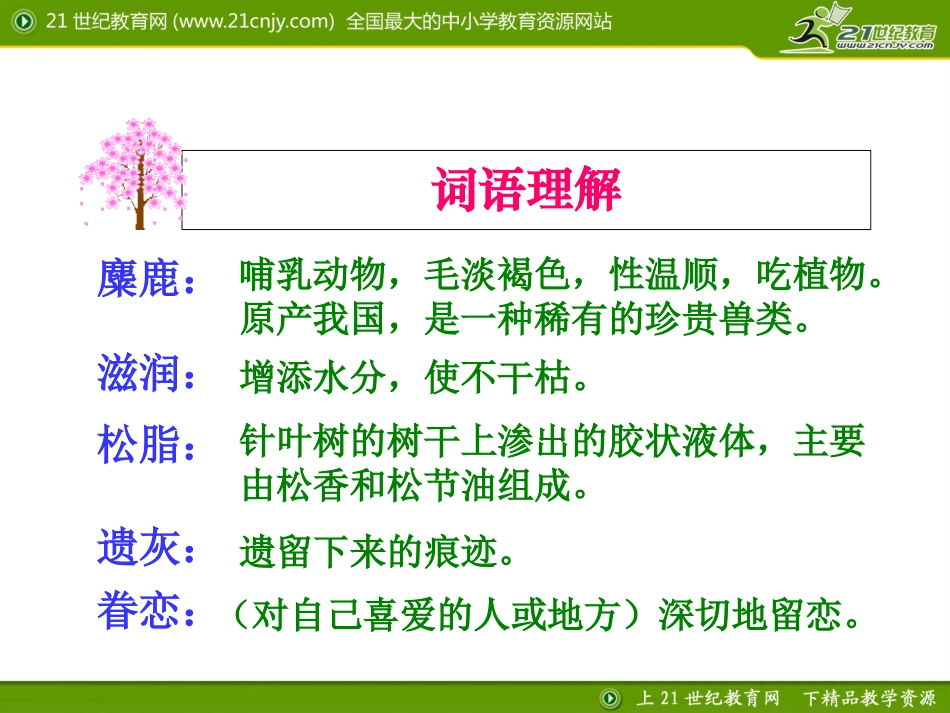 人教新课标版小学六上《这片土地是神圣的》课件_第3页
