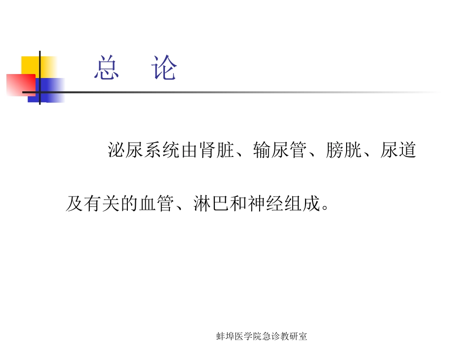 泌尿与男性生殖系lgy_第1页